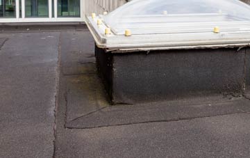 disadvantages of Nanceddan flat roofs
