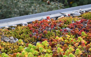 the cost of Nanceddan green roof installation
