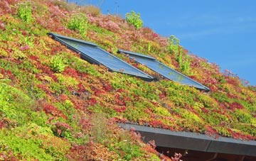 Nanceddan living roof systems