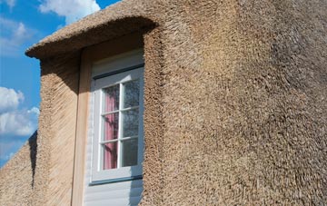 Nanceddan thatch roof disadvantages