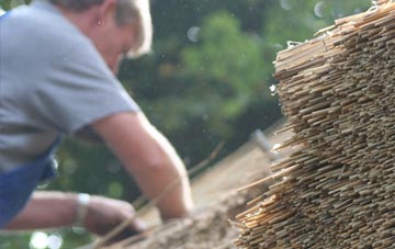 professional Nanceddan thatchers